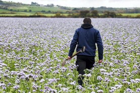 Tillage Podcast: new payment scheme and blight forecasting