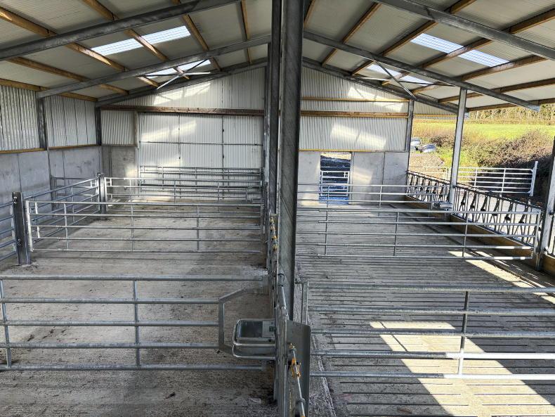 TAMS Tranche 8 approvals reach 77% 