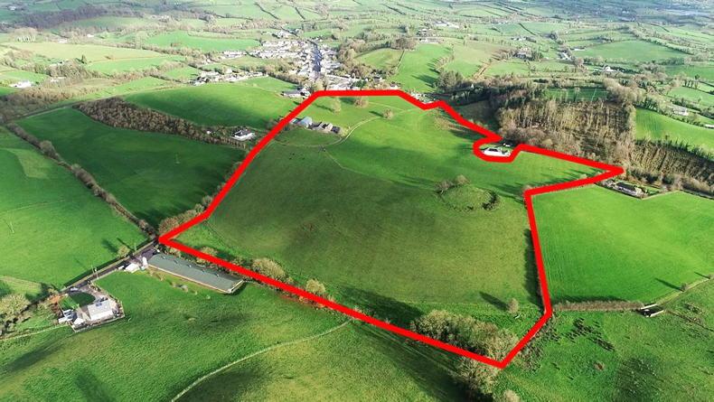 Newbliss farm with no entitlements available for lease                   