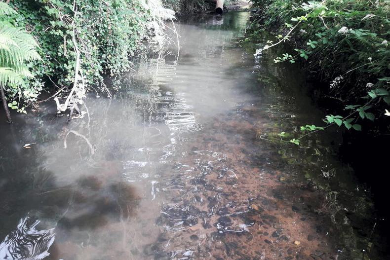 Uisce Éireann convicted and fined over river pollution
