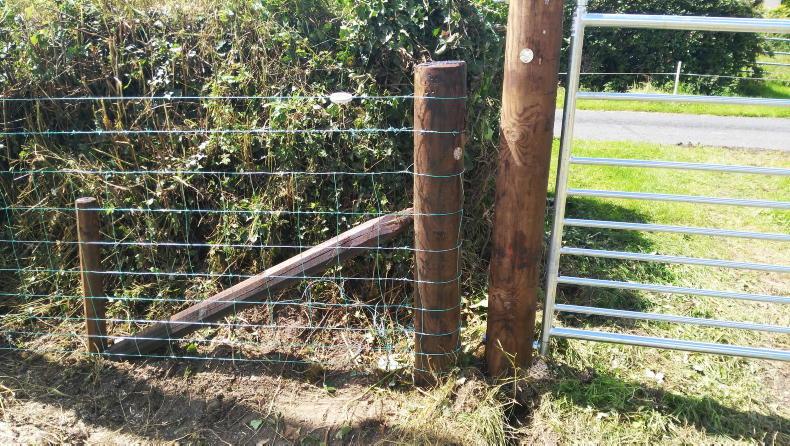 Recycled ESB poles can be used for straining posts in ACRES - Minister