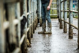 Forgotten farmers receive payments of up to €5,000