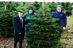 Minister Healy-Rae urges public to buy an Irish Christmas tree