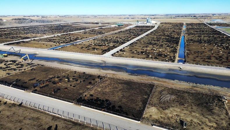 Ireland needs to up its game on beef  marketing