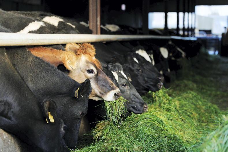 EU court to decide on Irish nitrates case next summer