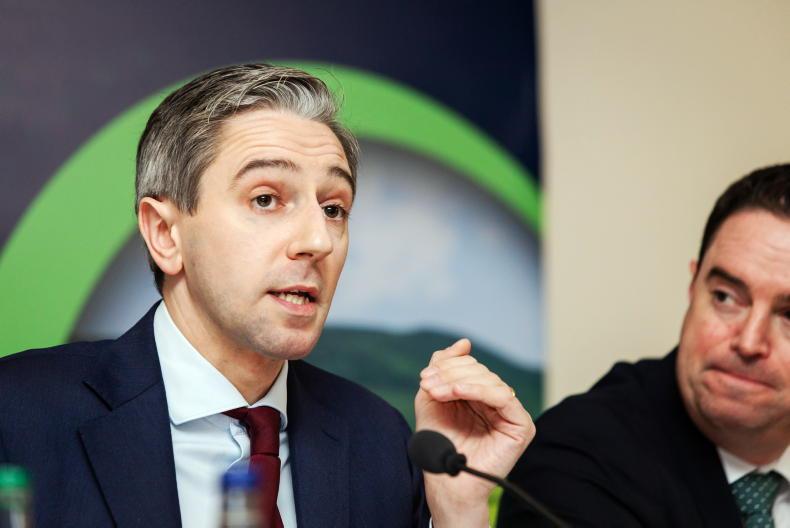 Jury still out on whether blocking minority exists on Mercosur deal – Harris 