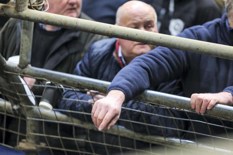 Business of Farming: the latest MartBids data all in one place