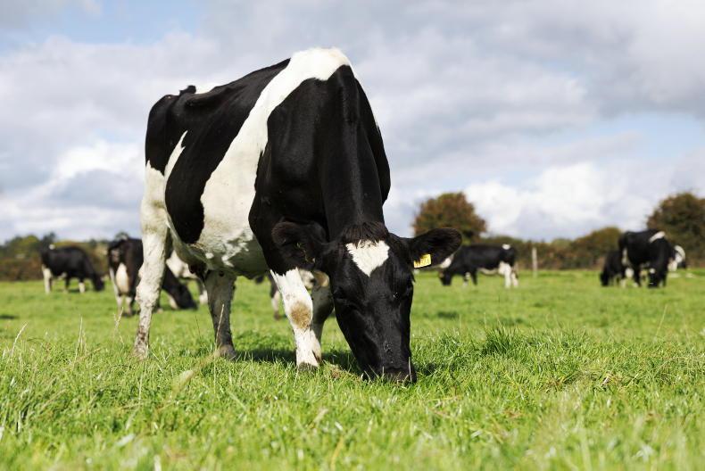 Imperative for Irish Dairy in Global Markets