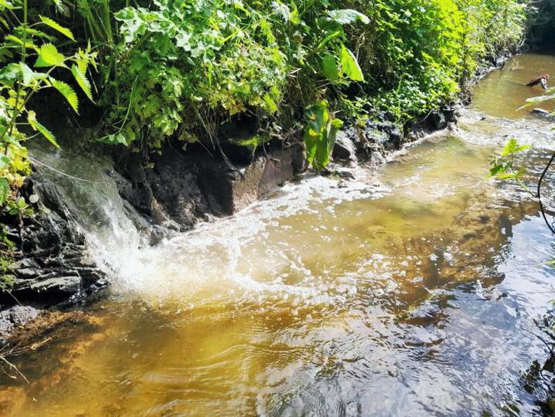 Ireland referred to EU court of justice over wastewater discharges