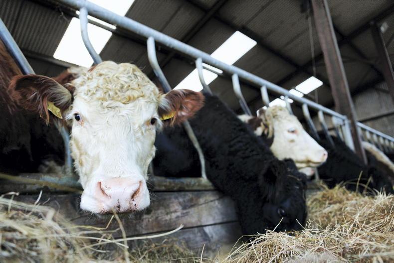 30% of farmers report unfair trading practices in survey