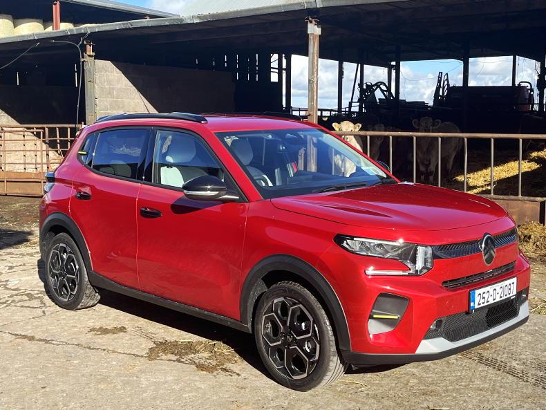 Small electric car options for 2026                                     