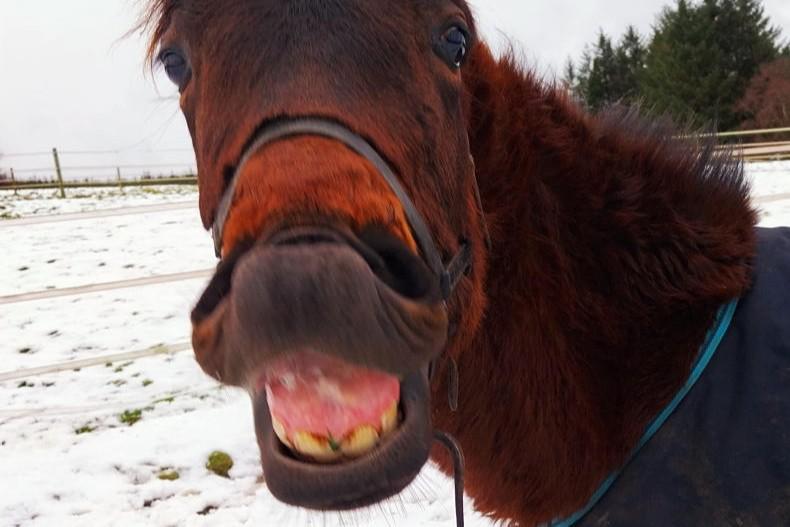 Country vibes... a few of our favourite things