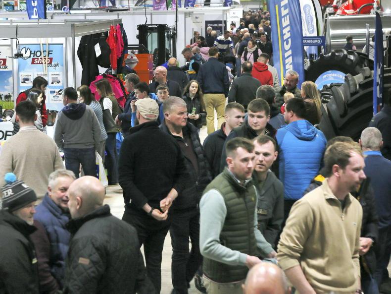 NI dairy farmers to maintain output in 2026