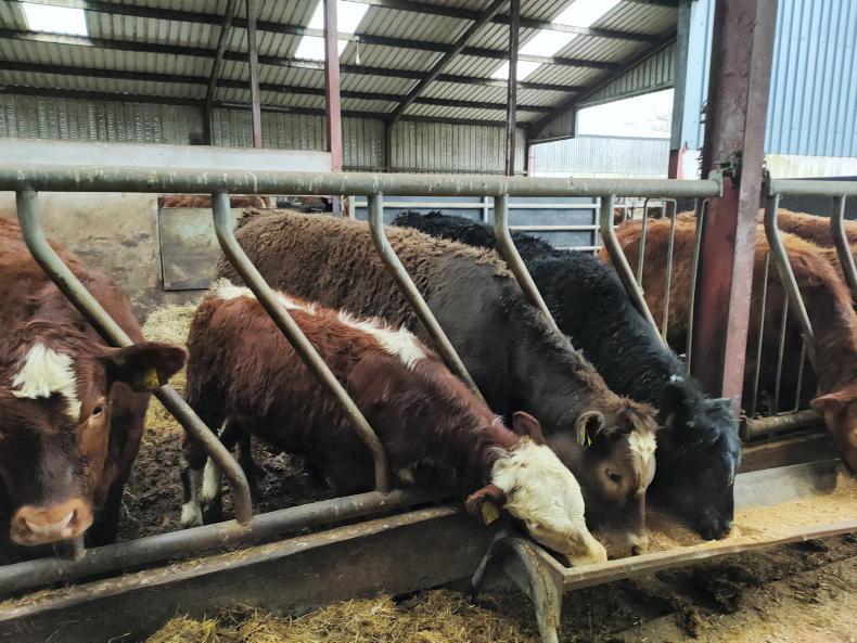 Sometimes the heart rules the head