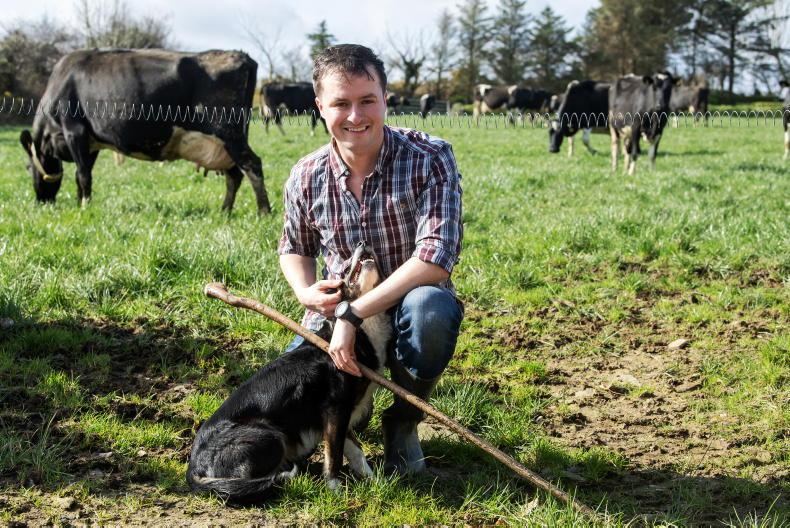 ‘Is fearr cairde ná ór’ – is fearr arís cara dílis an duine