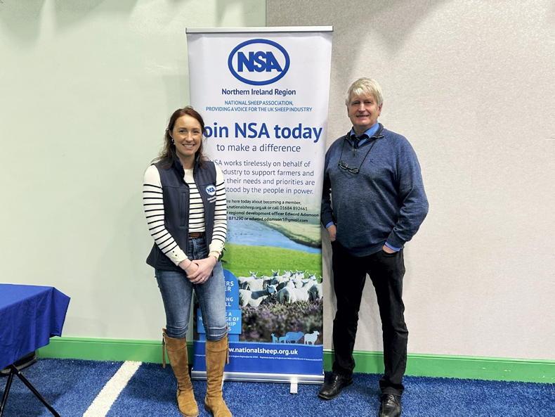 Workshop outlines the essentials for a successful lambing