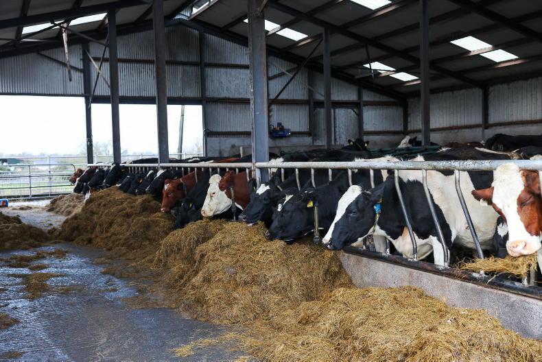 Dairy management: body condition scoring and getting ready for spring