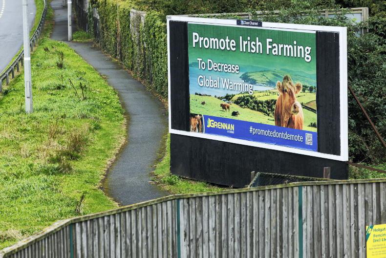 More research needed on Irish grain feed values