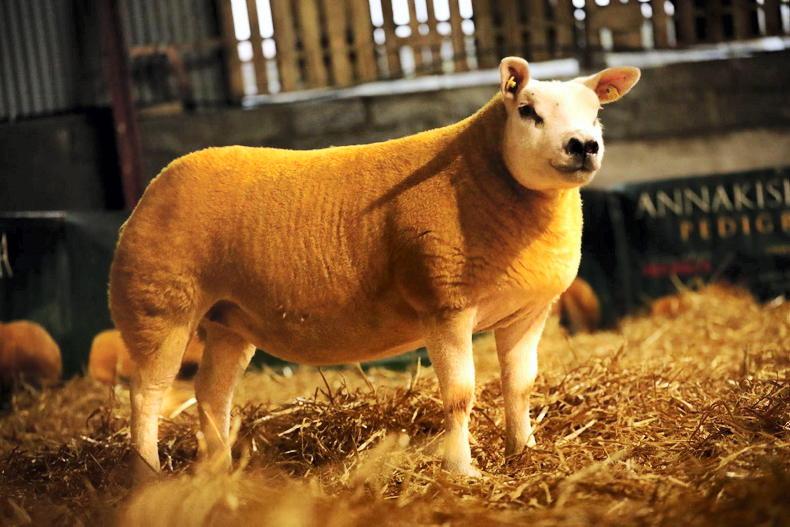 Annakisha land top prices in Blessington