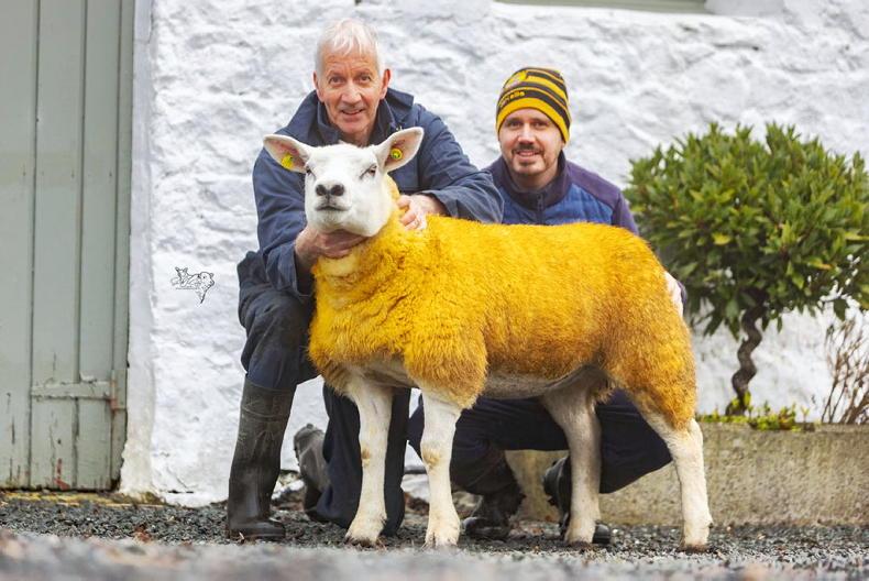 Twilight set for 10th anniversary sale