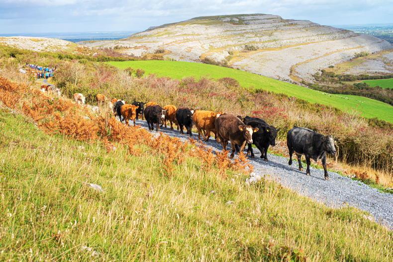 Eileen Heron leaving Countrywide