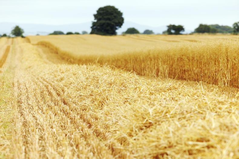 Agri-Food Regulator granted extra powers to compel pricing data from businesses