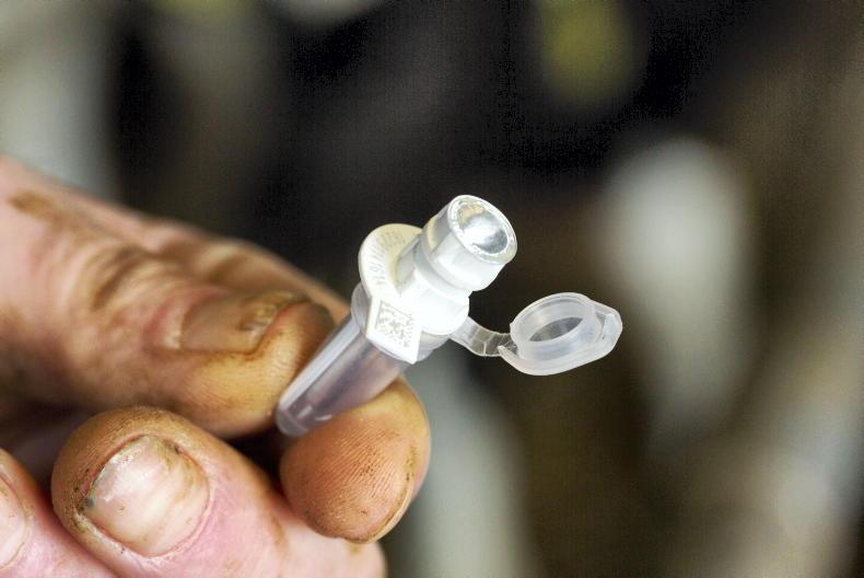 BVD programme delivers economic benefit of €184m annually