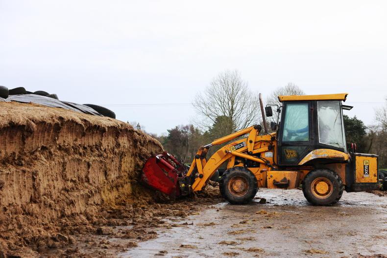 Dairy management: silage stocks and vaccines