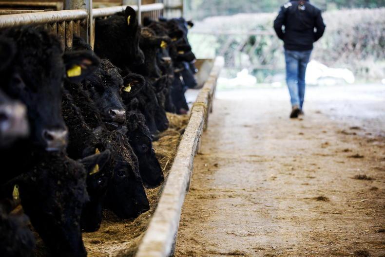 'Time and money' biggest farm safety barriers - US researcher