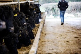 'Time and money' biggest farm safety barriers - US researcher