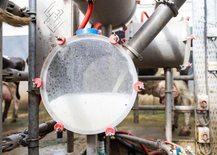 New Year launch for Israeli techno milk 