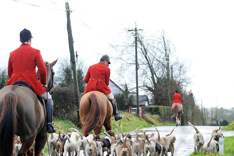 IFA urges TDs to oppose bill seeking foxhunting ban