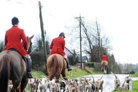 IFA urges TDs to oppose bill seeking foxhunting ban