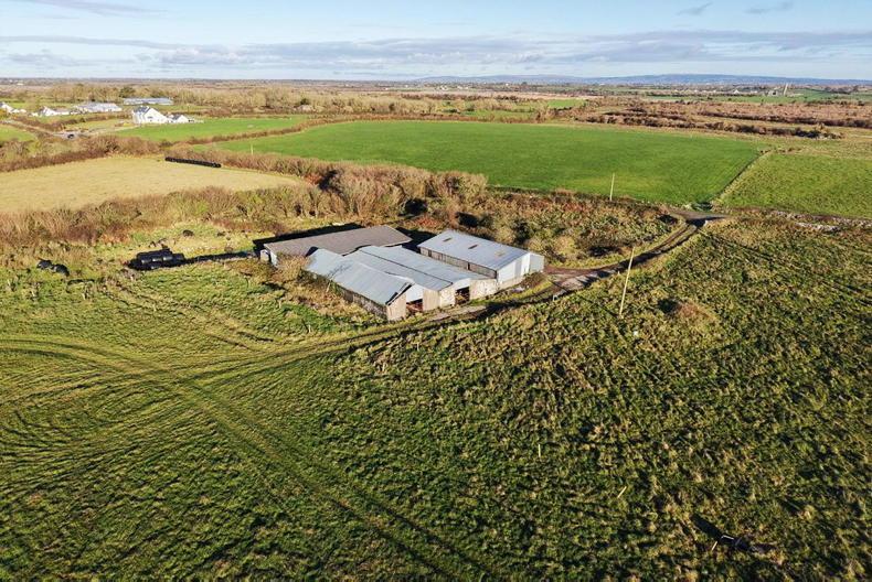 Co Clare boston beauty on the market 
