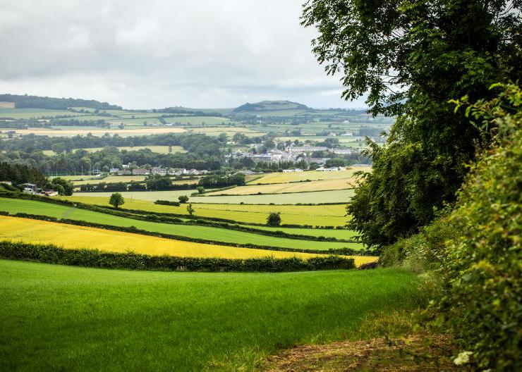 Commodity prices at play when it comes to land leases                          