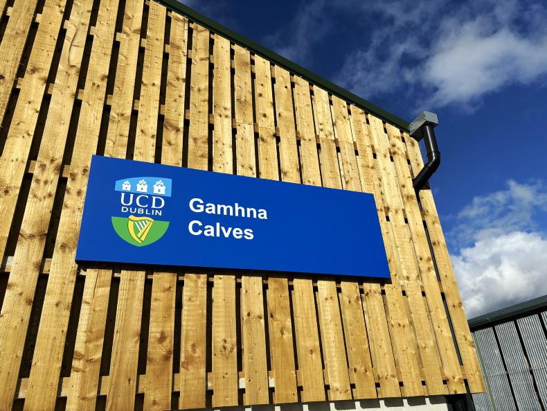 Dr Pat Brophy laid to rest         