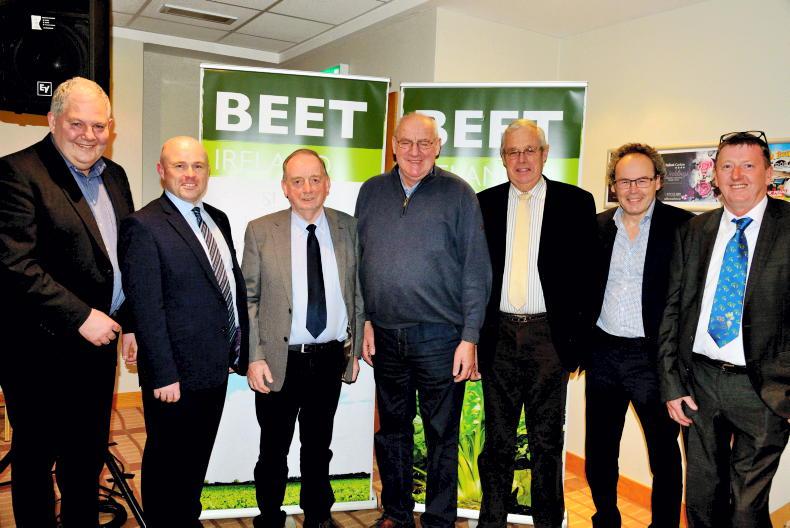 Beet Ireland wound up by directors