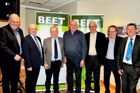 Beet Ireland wound up by directors