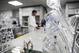 Bluetongue is outside control zone, says DAERA