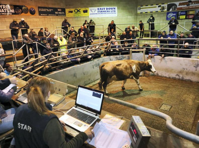 Northern View: factories cut pre-Christmas prices