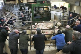 News in-brief from Northern Ireland