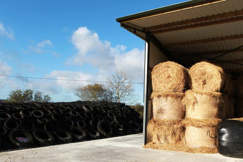 What does 2026 hold for the beef, sheep, tillage and dairy sectors?