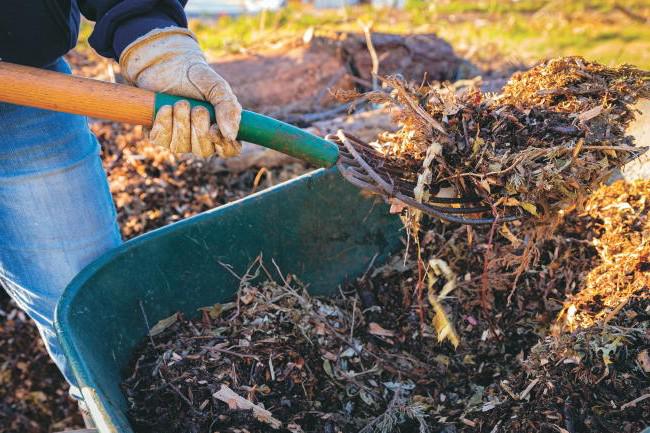 Gardening with Kitty: the rise of low-impact green gardening