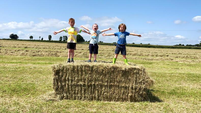 In pictures: our favourite readers’ photos of the year