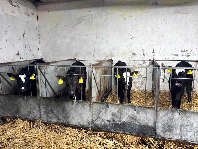 Positives and negatives moving into the New Year