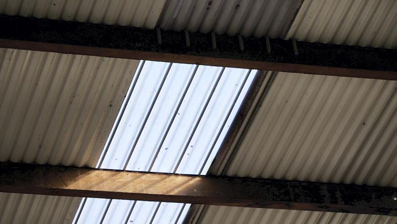 Applications open for new TAMs grant to replace shed roofs