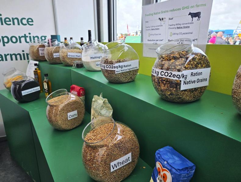 Native grain buyers competing with mills not using any Irish grain