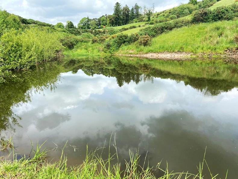 New NPWS scheme in the works  