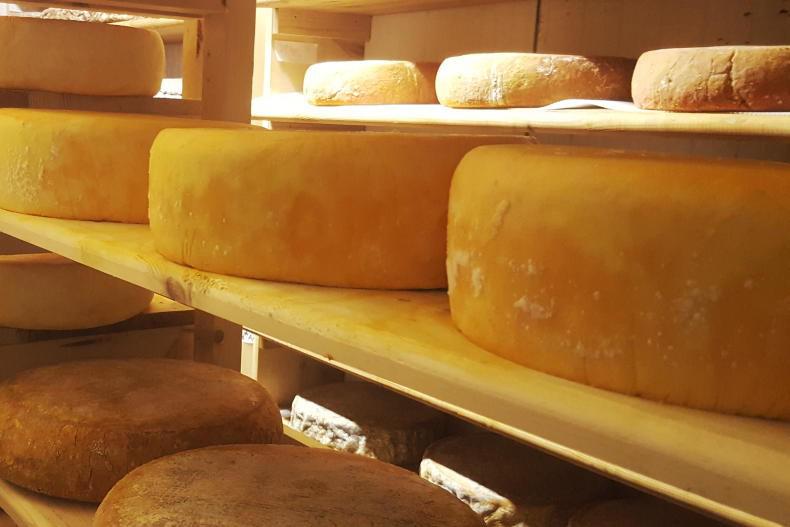 China slaps tariffs of up to 43% on imports of EU cheese