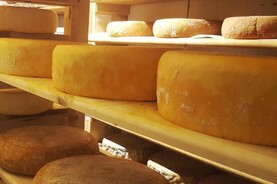 China slaps tariffs of up to 43% on imports of EU cheese